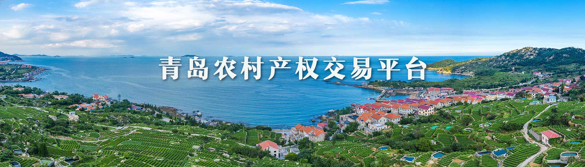 青島農村產權交易平臺